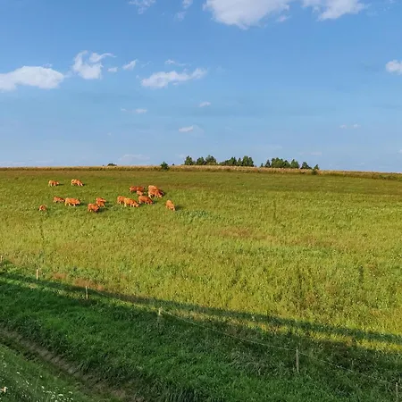 In With Wi-fi Vakantiehuis