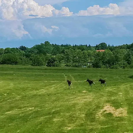 In With Wi-fi Vakantiehuis